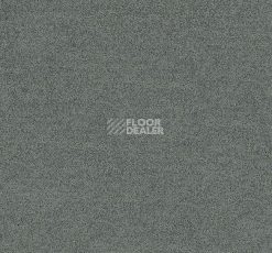 Ковровая плитка Interface Polichrome Solid 4266006 Cinder фото 1 | FLOORDEALER